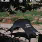 Dragonfly tarp